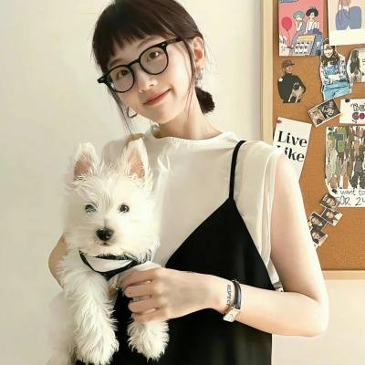 妙警贼探第六季